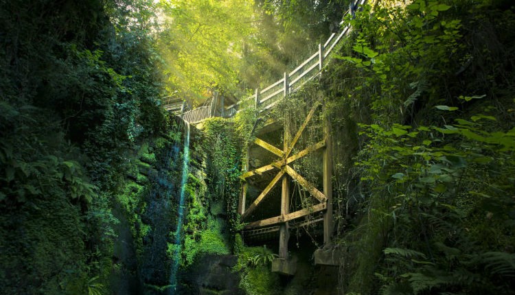 Shanklin chine Isle of Wight