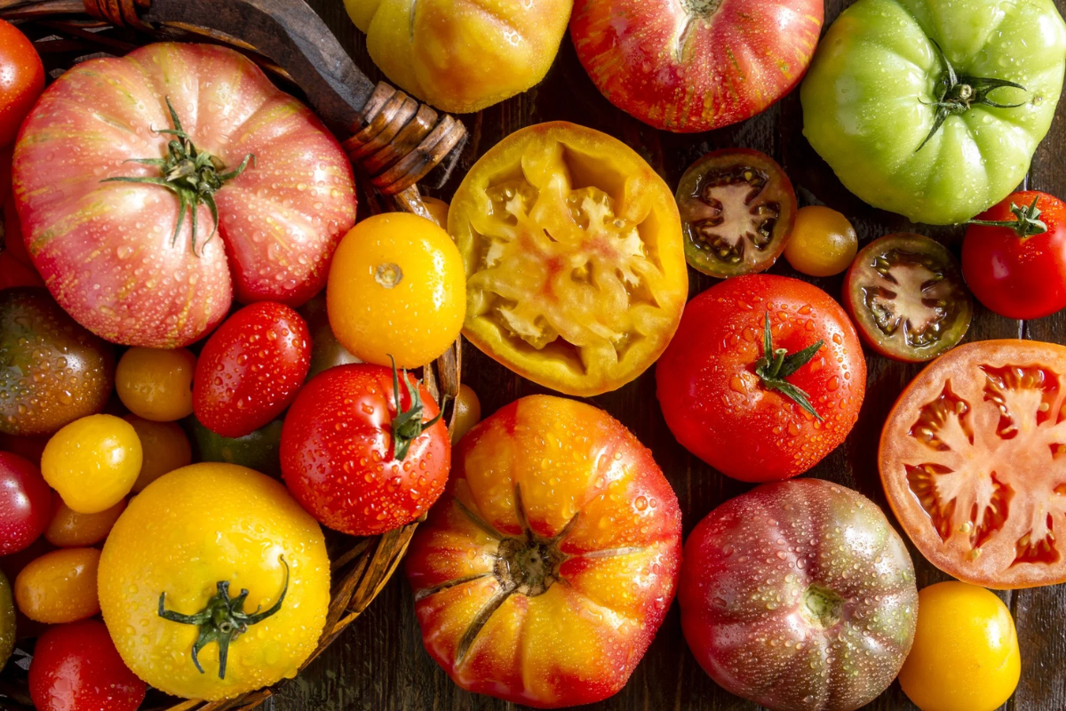 IOW TOMATOES
